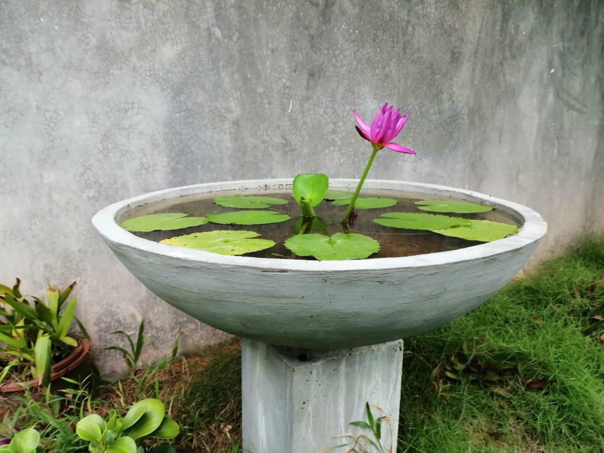 Orchid Villa #10 Hikkaduwa Eksteriør billede